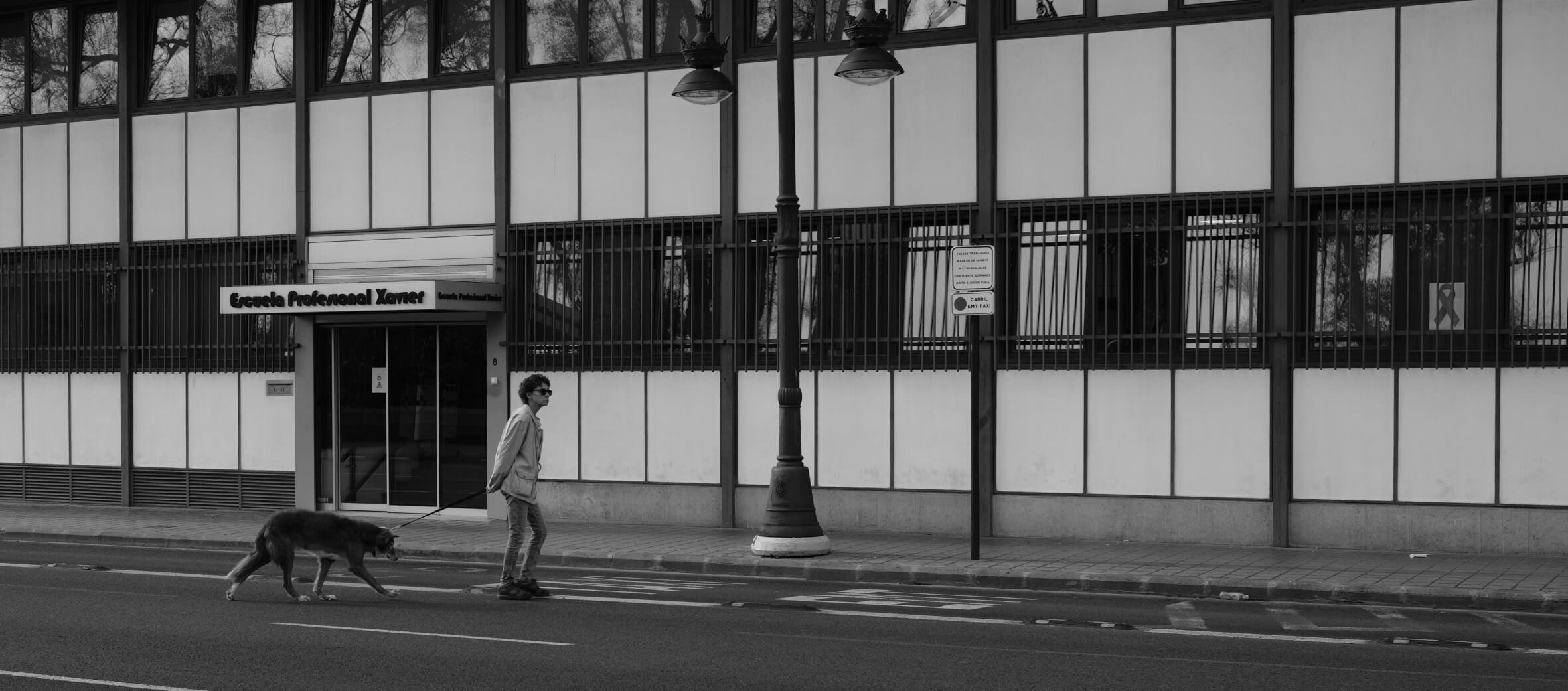 Літня жінка з собакою переходить дорогу, Валенсія 2021